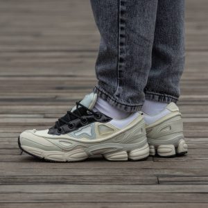 Adidas x Raf Simons Ozweego White Beige