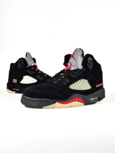Jordan Retro 5 Gore-Tex