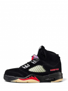Jordan Retro 5 Gore-Tex