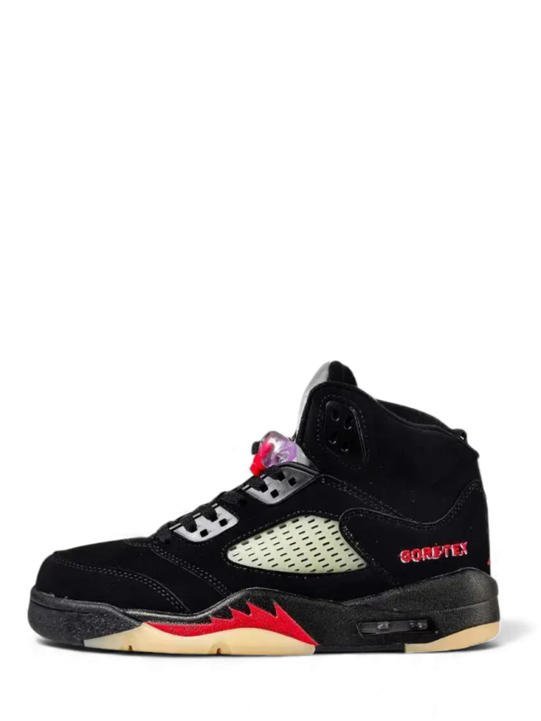 Jordan Retro 5 Gore-Tex