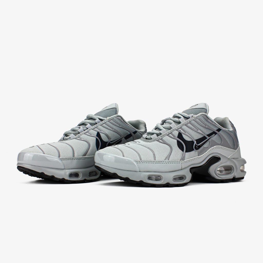 Nike Air Max Plus TN Double Swoosh Grey (сірі)
