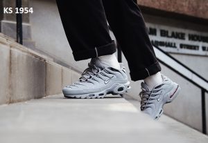 Кросівки Nike Air Max Plus Wolf Grey (сірі)