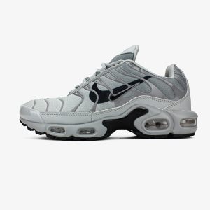 Nike Air Max Plus TN Double Swoosh Grey (сірі)