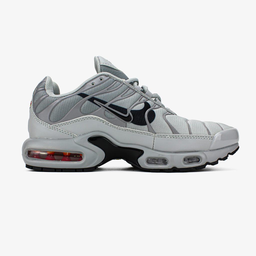 Nike Air Max Plus TN Double Swoosh Grey (сірі)