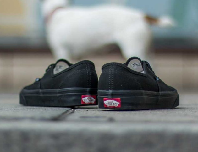 Кеди Vans Authentic Black Mono (чорні)