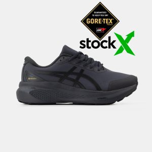Asics Gel-Kayano 30 Gore-Tex Gray