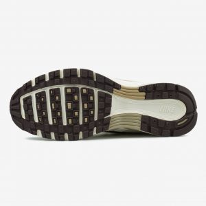 Nike P-6000 Earth Light Bone