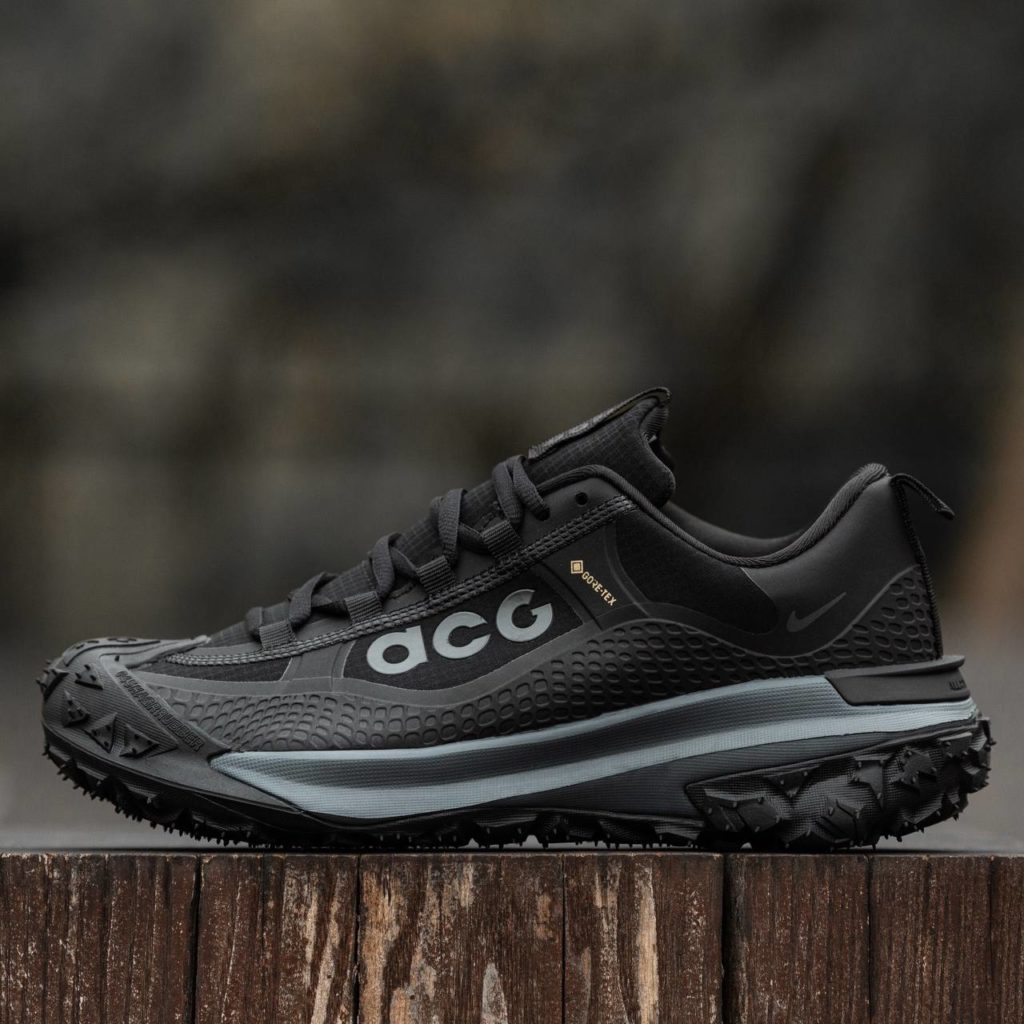 Nike ACG Moutain fly Gore tex Black Grey