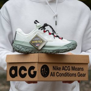 Nike ACG Mountain Fly 2 Low GTX Phantom Light Silver