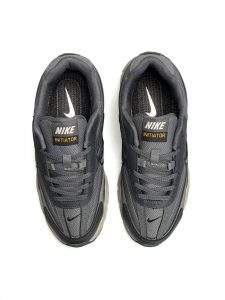 Nike Initiator Gore-Tex Grey Beige