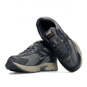 Nike Initiator Gore-Tex Grey Beige